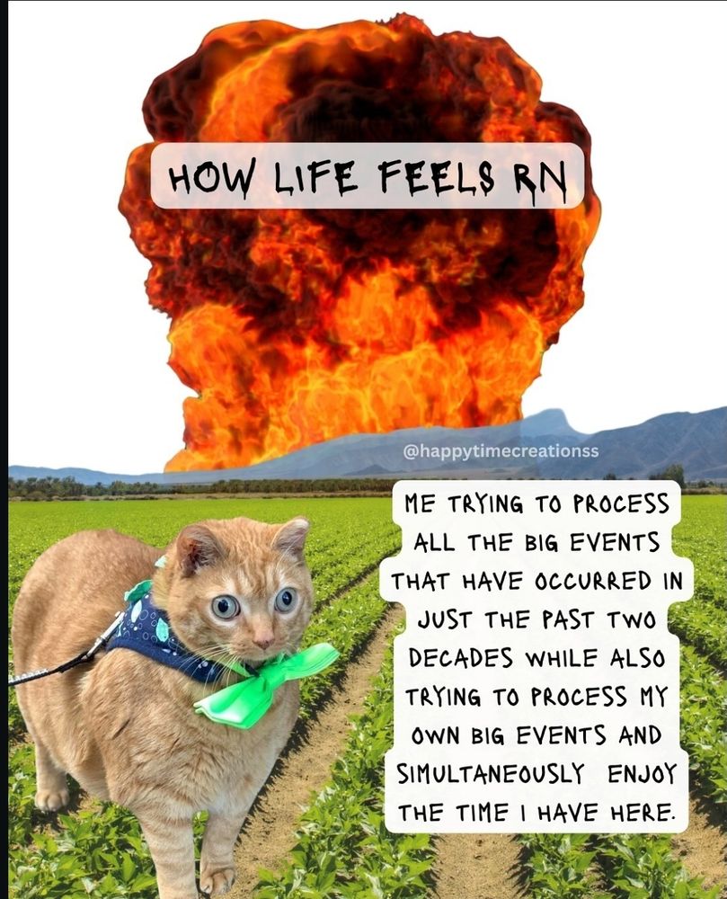 meme-style image:

Top Text (over an explosion):
"CURRENTLY: LIFE IS A LOT"

Image Description:
A silly looking startled orange tabby cat with wide eyes, wearing a blue harness and green bow, stands in a field of crops. Behind the cat is a massive fiery explosion in the distance, symbolizing chaos or overwhelm.

Bottom Text (next to the cat):
“Me trying to keep it together while the world feels like it's falling apart, my personal life is a rollercoaster, and I’m also supposed to be practicing mindfulness and gratitude at the same time.”

