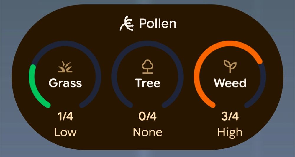 Google Pollen tracker showing Grass, Tree and Weed categories with 0-4 ratings. Grass is currently low at 1/4 (Low) Tree is 0/4 and Weed is 3/4 (High)