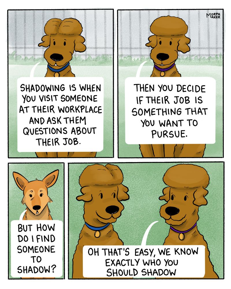 Panel 12: Dolly explains, “Shadowing is when you visit someone at their workplace and ask them questions about their job.” Panel 13: Spencer continues, “Then you decide if their job is something that you want to pursue.” Panel 14: Lindy asks, “But how do I find someone to shadow?” Panel 15: Dolly and Spencer look at each other and Spencer says, “Oh that’s easy, we know exactly who you should shadow.”