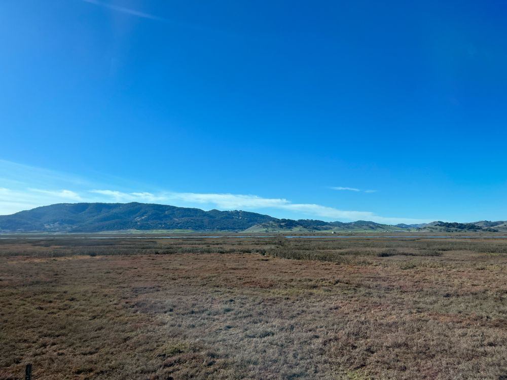 A photo taken through a somewhat dirty van window of the eastern edge of Petaluma Marsh, dominated by pickleweed in its winter browns and reds. In the distance, the low ridge of Mount Burrell looms over the Petaluma River valley.  