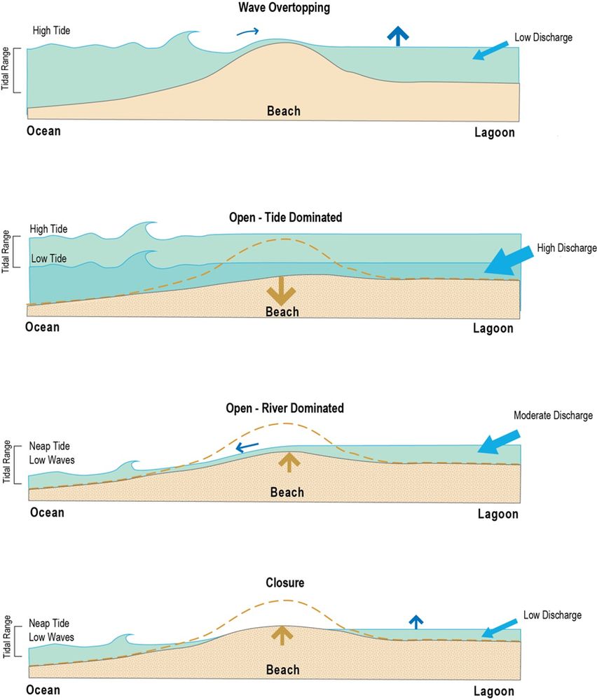 diagram developed by Environmental Science Associates that displays the typical fill -> breach -> drain -> close cycle of bar-built estuary inlets