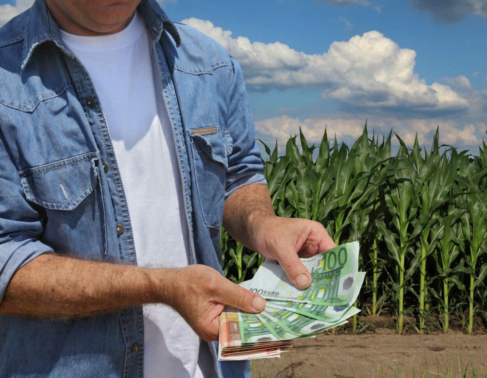 Einkommen in der Landwirtschaft: Bestes Ergebnis der letzten zehn Jahre