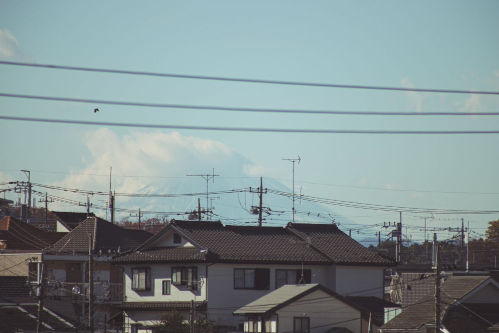 a partially obscured Mt.Fuji lies behind old residential buildings, electrical cables stretch across the top of the frame, subtle patches of autumnal colours are visible in a few of the treetops that jut over the rooftops. some massive, squawky crow is flying across the sky. 