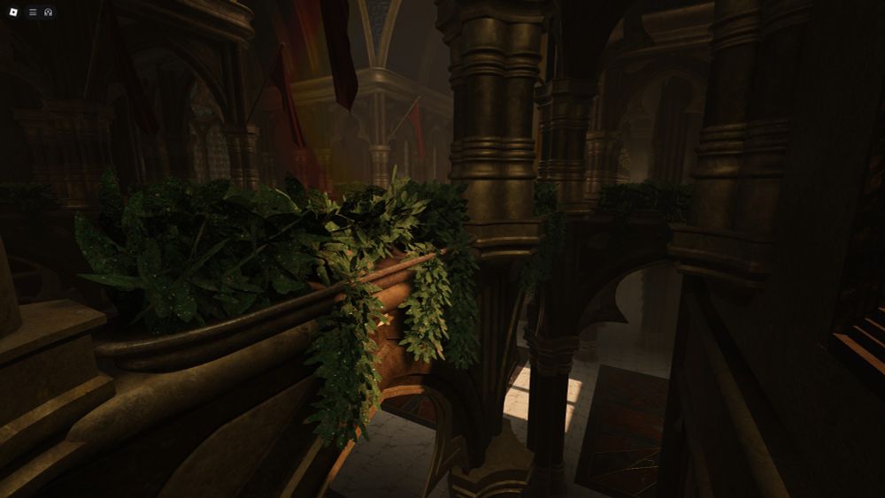 Another angle of sunlight hitting my plants