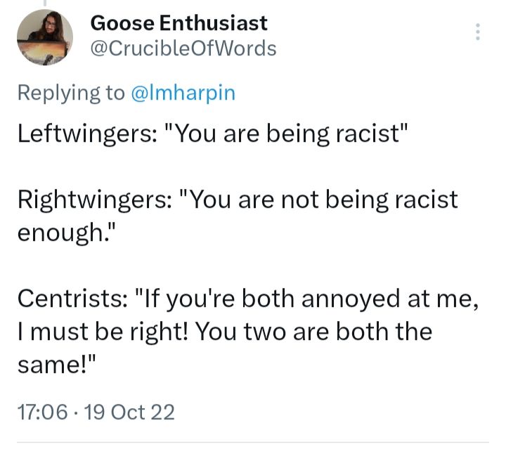 Post of mine saying:

Leftwingers: You are being racist

Rightwingers : You are not being racist enough.

Centrists: If you are both annoyed at me, I must be right! You two are both the same!