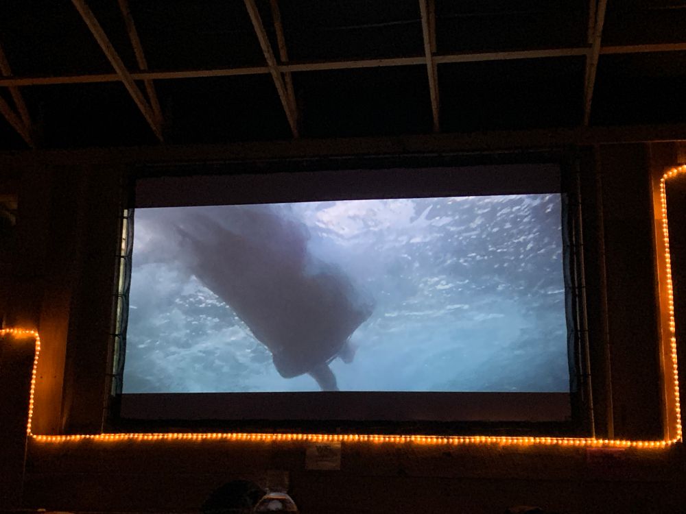 Movie screen showing legs dangling tantalizingly in ocean water. 