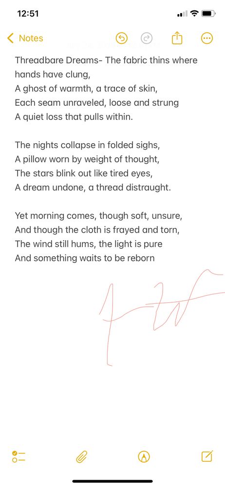 This poem reflects on the fragile, worn edges of hope and love—the quiet losses that wear down the fabric of our lives. Yet despite frayed seams and fading light, there is a subtle promise of rebirth and resilience.

Threadbare Dreams

The fabric thins where hands have clung,
A ghost of warmth, a trace of skin,
Each seam unraveled, loose and strung
A quiet loss that pulls within.

The nights collapse in folded sighs,
A pillow worn by weight of thought,
The stars blink out like tired eyes,
A dream undone, a thread distraught.

Yet morning comes, though soft, unsure,
And though the cloth is frayed and torn,
The wind still hums, the light is pure
And something waits to be reborn.
