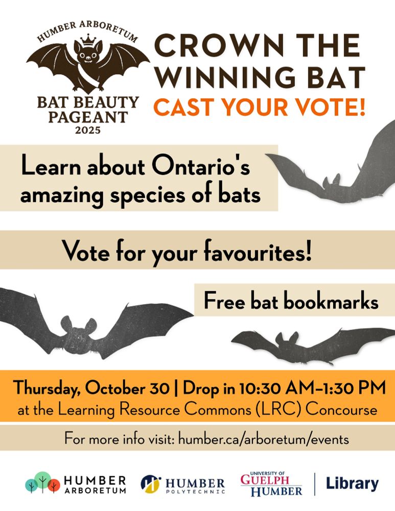 An event poster features bat silhouettes and a little graphic of a bat wearing a crown and sash. Humber Arboretum Bat Beauty Pageant 2025. Crown the Winning Bat. Cast Your Vote. Learn about Ontario's amazing bat species. Vote for your favourites! Free bat bookmarks. Thursday October 30. Drop in 10:30 Am to 1:30 PM at the Learning Resource Commons (LRC) Concourse. For more info visit humber.ca/arboretum/events. Logos of the Humber Arboretum and Humber Library.    