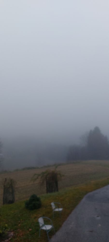 Nebel im steirischen Hügelland. 