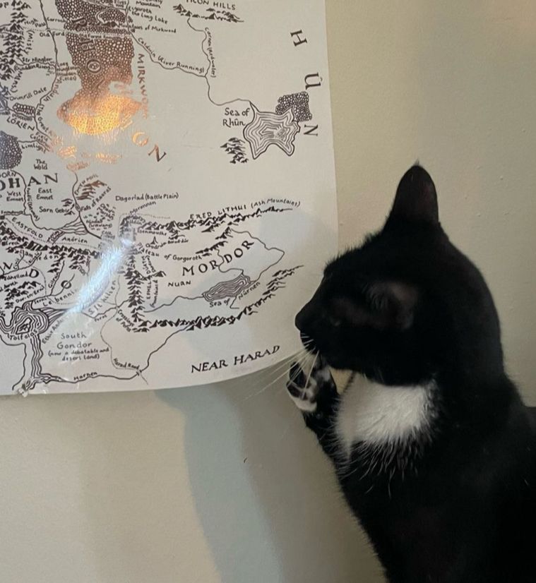 A black cat with white shirtfront markings and speckled paws chews at the corner of a paper map of middle earth. The map is the lower right quarter showing Mordor