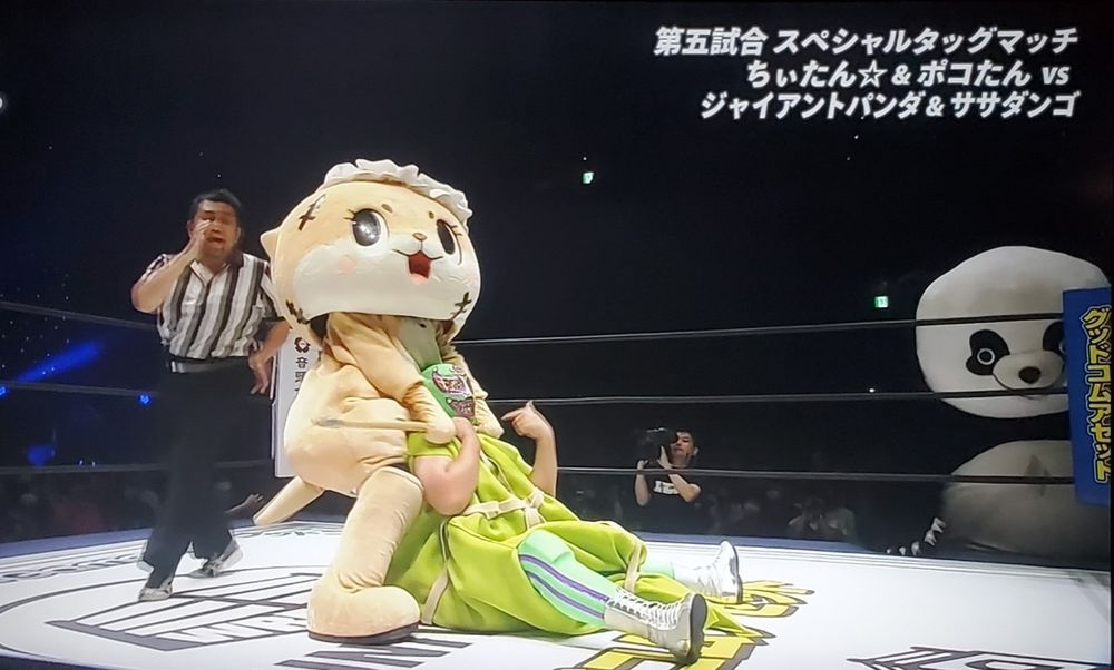 A pro wrestling match from Japanese promotion DDT. Chiitan the Fairy Otter mascot chokes Super Sasadango Machine (who is dressed as a bamboo shoot(?)) with a kendo stick. Sasadango's tag partner, the 300 cm tall mascot suit Andreza Giant Panda, watches ominously from outside the ring.