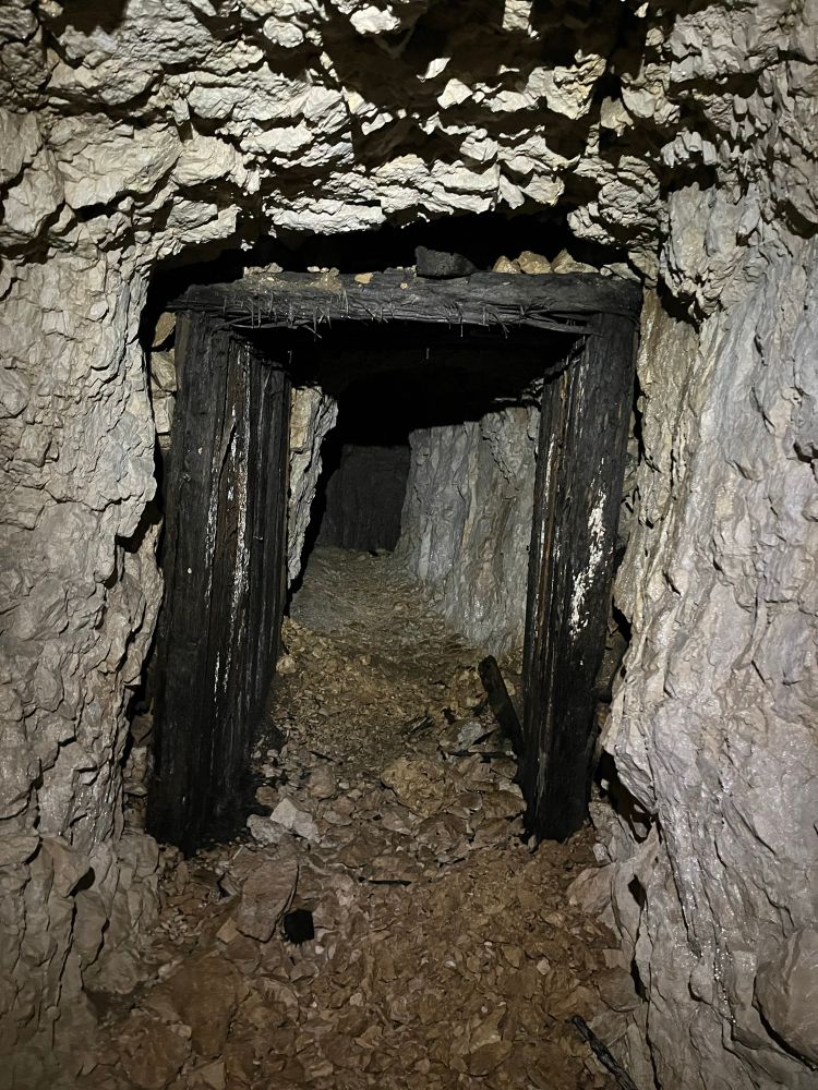 The Ellison Tunnel, held up with wet 100 year old timbers