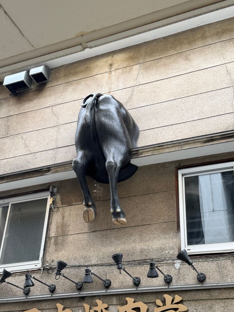 A bull ass sticking out of the building