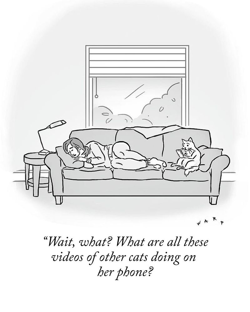 warp cartoon: a cat sitting up next to their sleeping human in the couch. they are holding the humans phone. caption reads "Wait, what? What are all these videos of other cats doing on her phone?” and they look shocked and sad