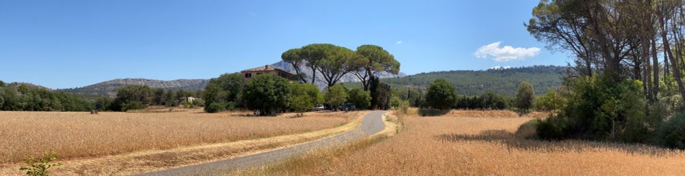 Panoramic color image of a winding road and tall yellow grass in foreground, trees and mountainside with an almost hidden country home in the background. 