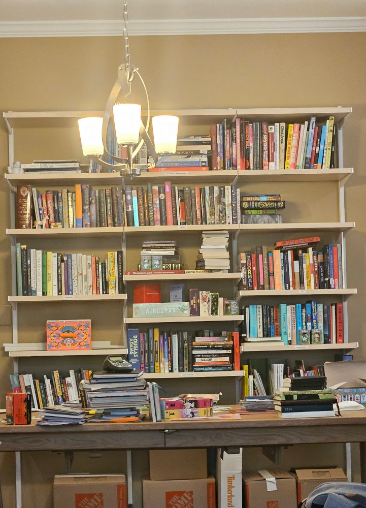 Bookcase in a brown room with a shitton of books on it
