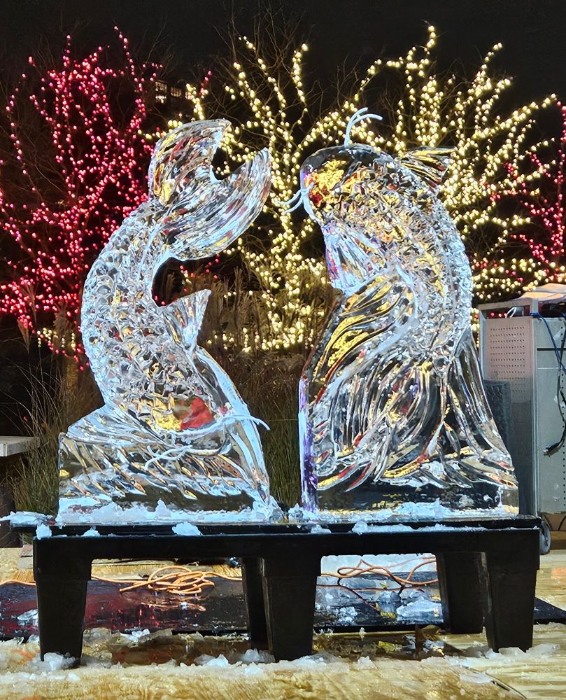 ice sculpture of two giant catfish