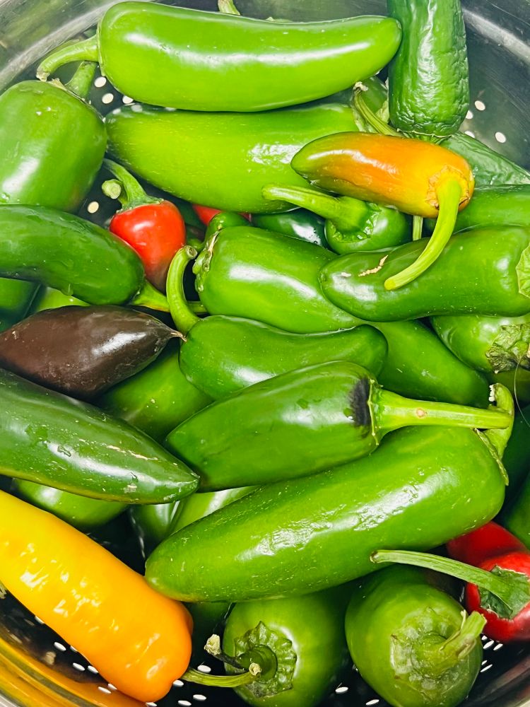 Peppers