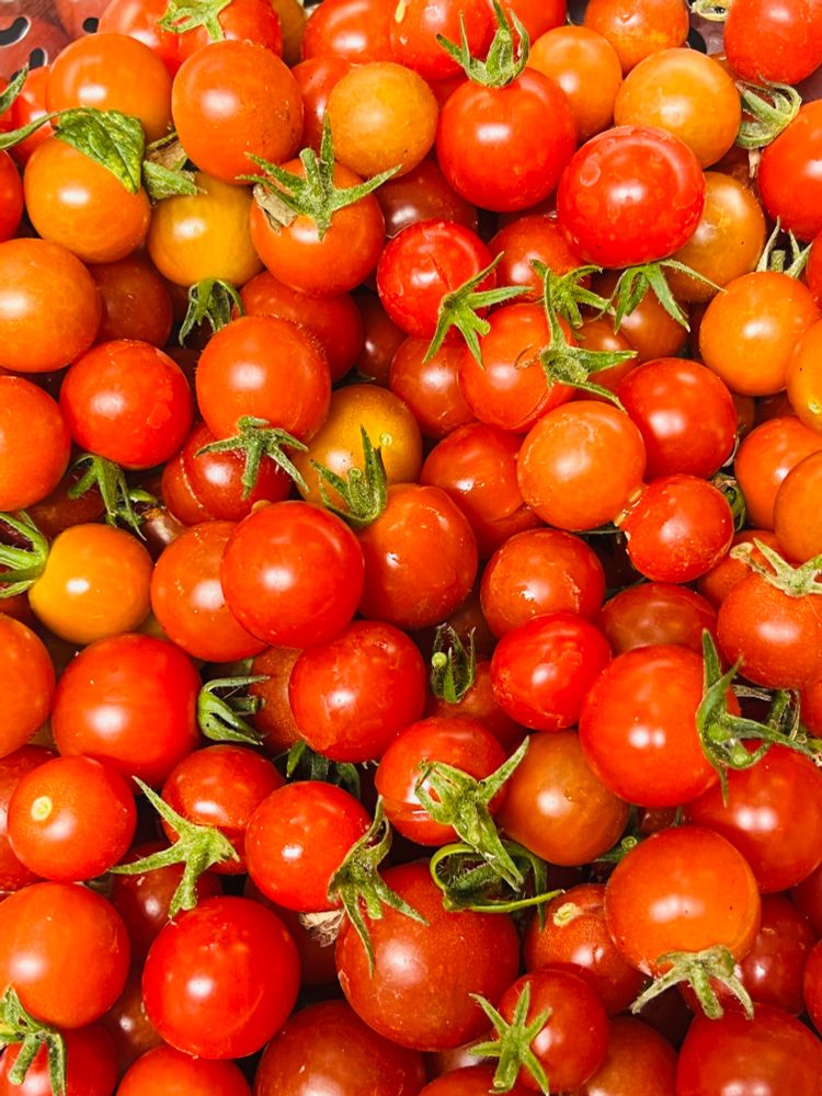 Cherry tomatoes from the garden 