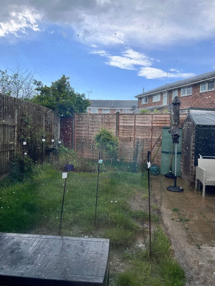 heavy rain falling into a small backyard with light blue skies above