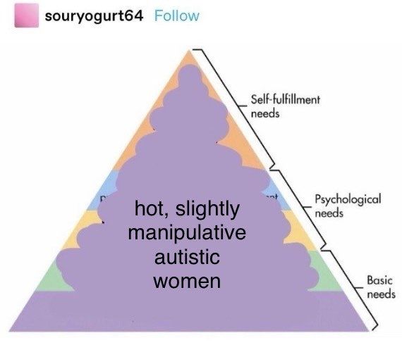 maslow triangle saying "hot, slightly manipulative autistic women"