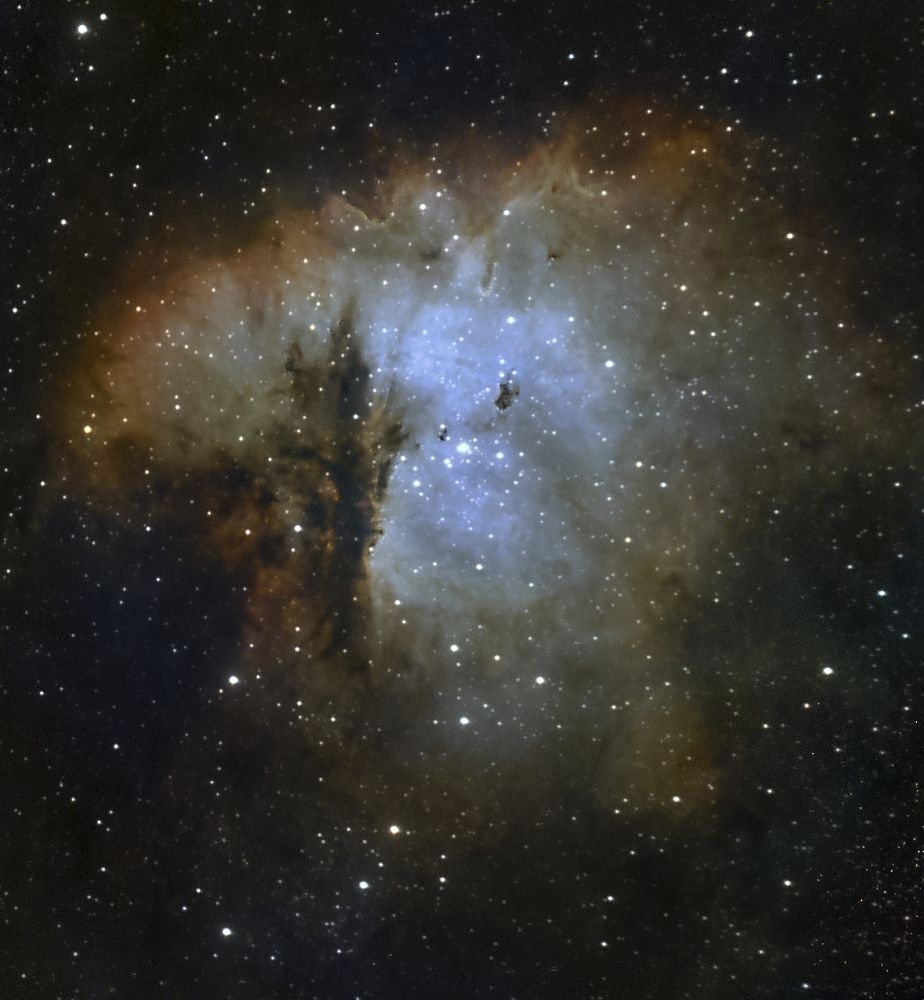 NGC 281, Pacman Nebula. 717x10sec subs, from three nights. 
Stacked in Siril, stars removed
Denoising and deconvolution in GraXpert
Histogram stretching, colour calibration and stars recombined in Siril. 