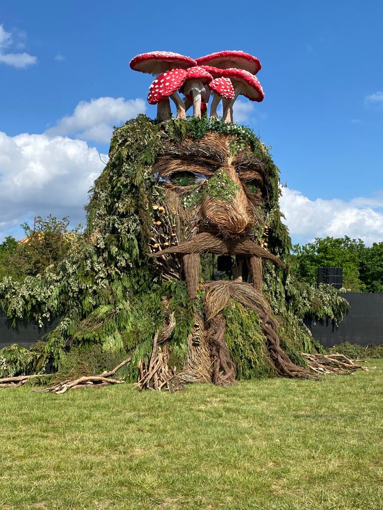 A giant head with grass hair like a hippy 