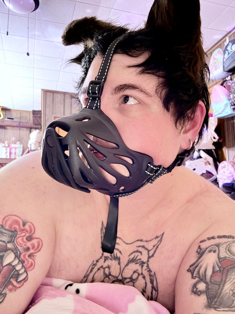 photo of cain, a white AFAB masc enby, laying on his chest on pink blankets. he has short fluffy black hair, black dog ears with one up and one down, and a black muzzle on. he is looking off to the side.