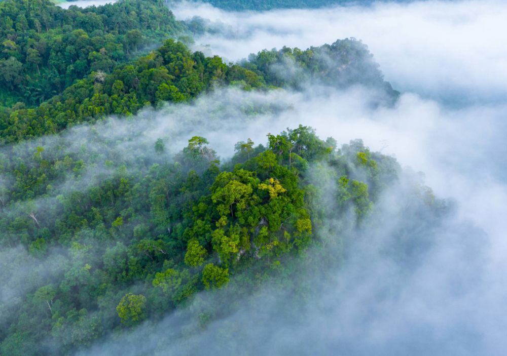 Scientists issue climate ‘tipping points’ warning