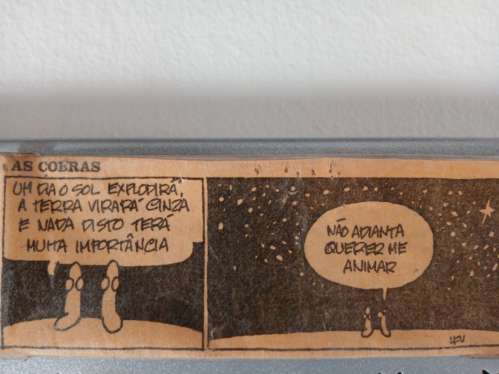 Tira as cobras. No primeiro wuadrinho elas contemplam o ceu e uma diz: um dia o sol explodirá, a terra virará cinza e nada disso terá muita importância. No outro, a outra responde: não adianta querer me animar.
 