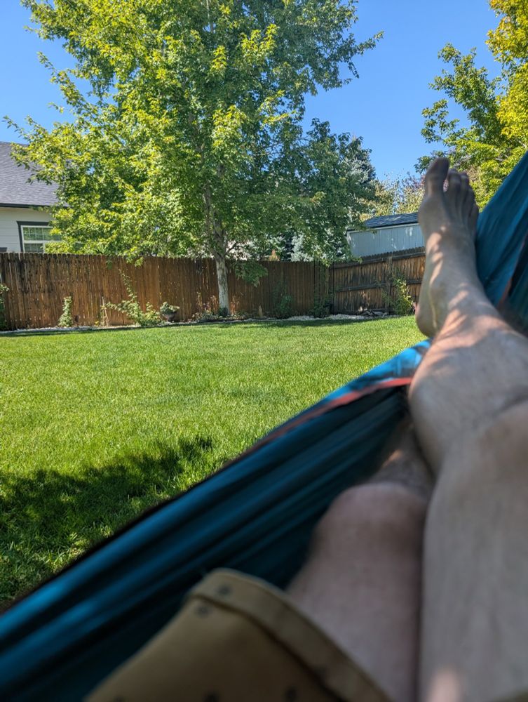 POV from hammock in my backyard