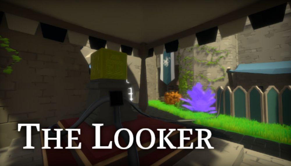 Steam：The Looker