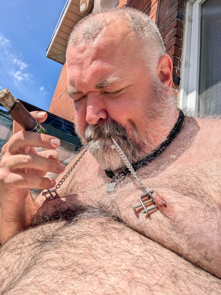 A fat man smoking a cigar and tugging at his nipple clamps with his mouth