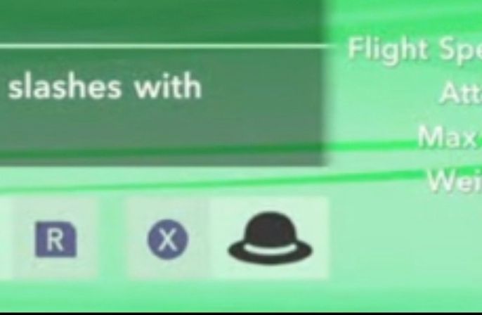 Part of the Kirby Air Riders menu that says press X next to a hat symbol