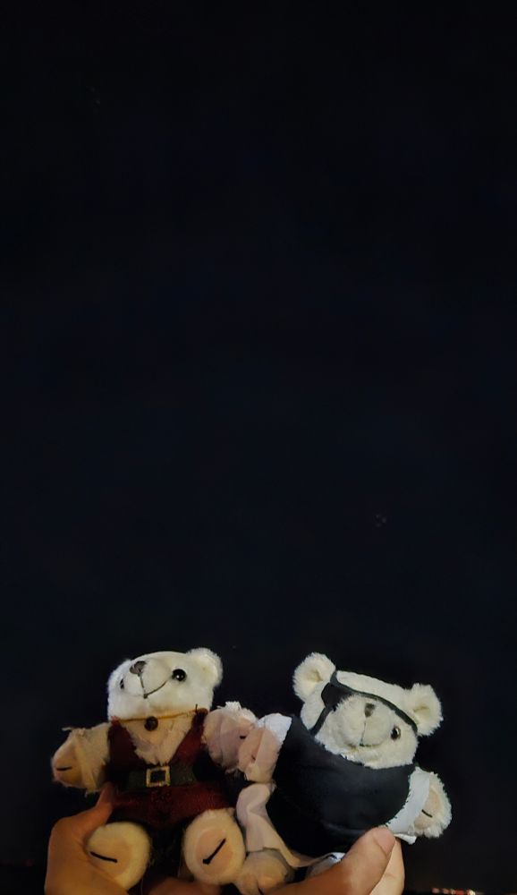 Badeni and Oczy bears under a black evening sky