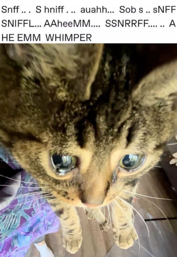 sn sniff.. auauahh sob AH HEEM WHIMPER