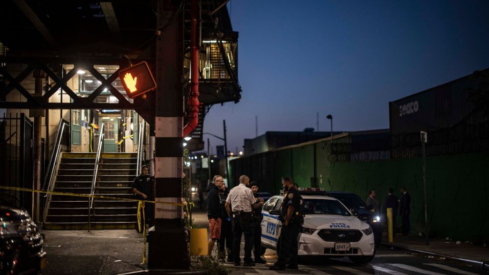 Critics Question N.Y.P.D. Shootings After Fare Evasion Stop in Subway