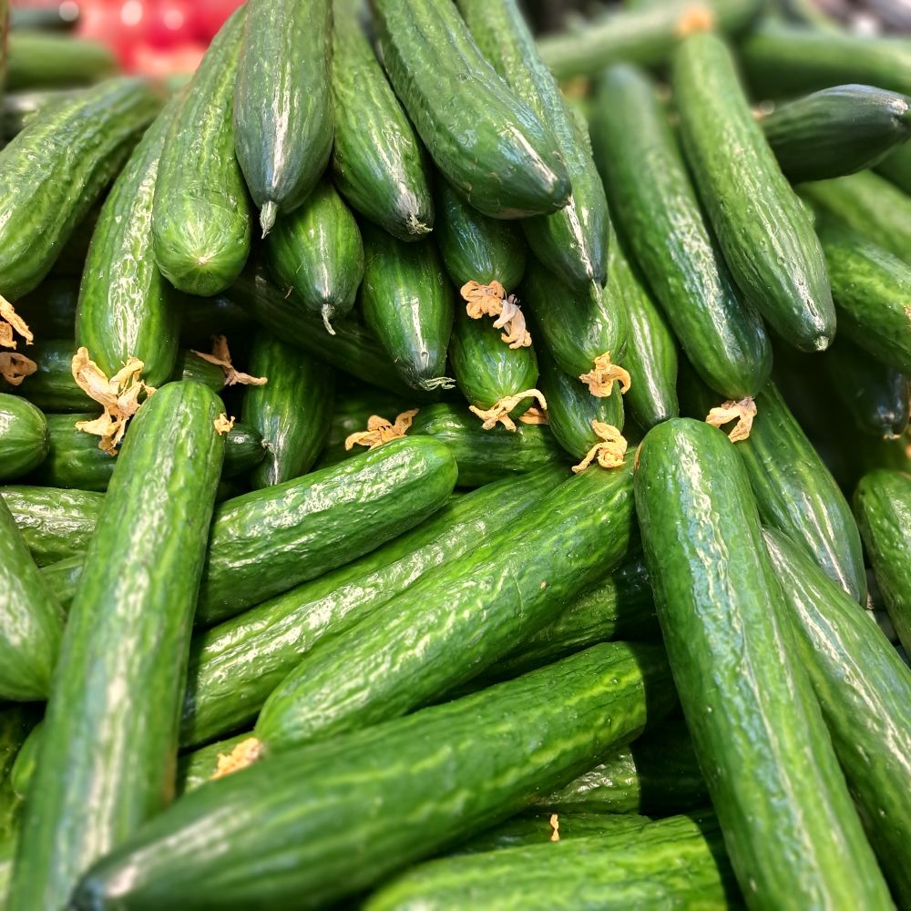 Étalage de concombres avec un erzat de fleur sur le bout