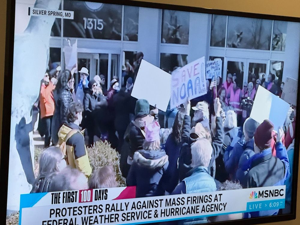 Photo of TV show on MSNBC: Protesters Rally Against Mass Firings