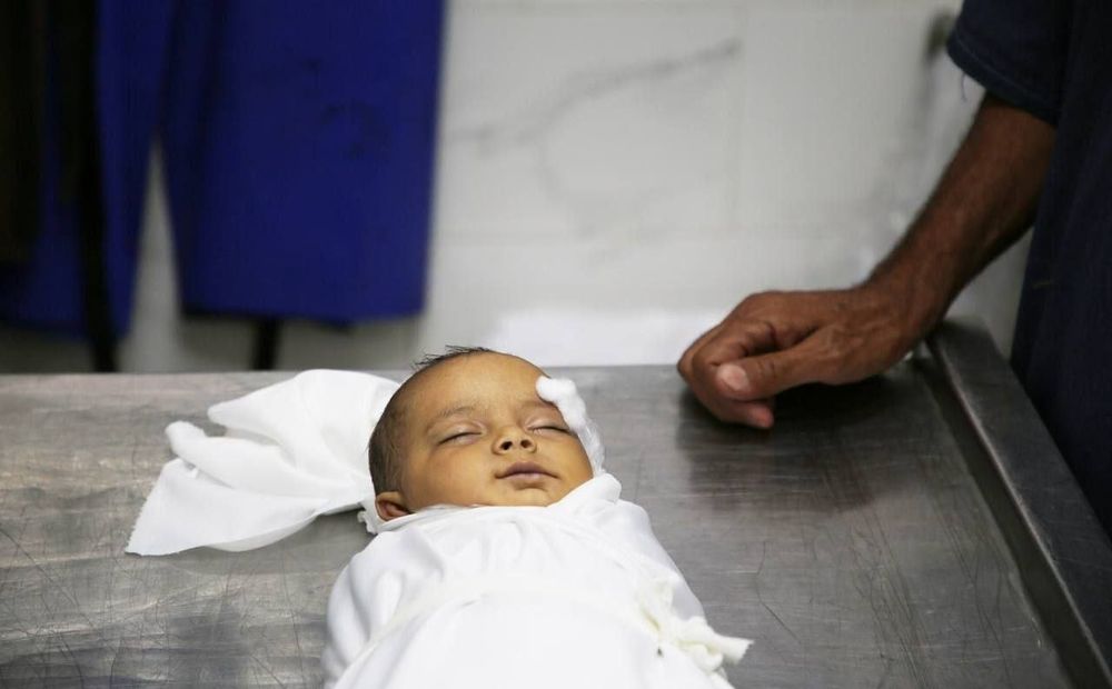 💔🇵🇸Six-month-old Habeeba Marouf was shot and killed by bullets fired from a murderous #Israeli Quadcopter drone at her family’s tent on Al-Nafaq Street in #Gaza

@The Children of Gaza