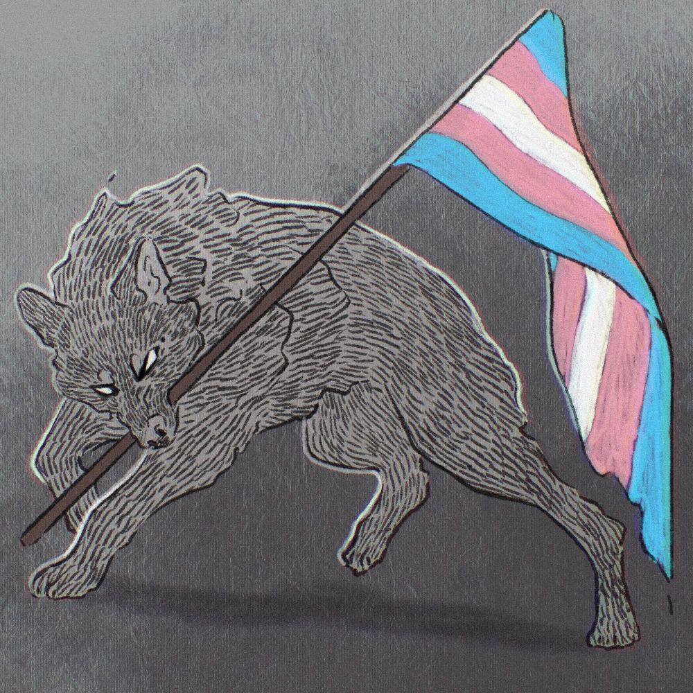 Sketch of a grey dog angrily holding a trans flag