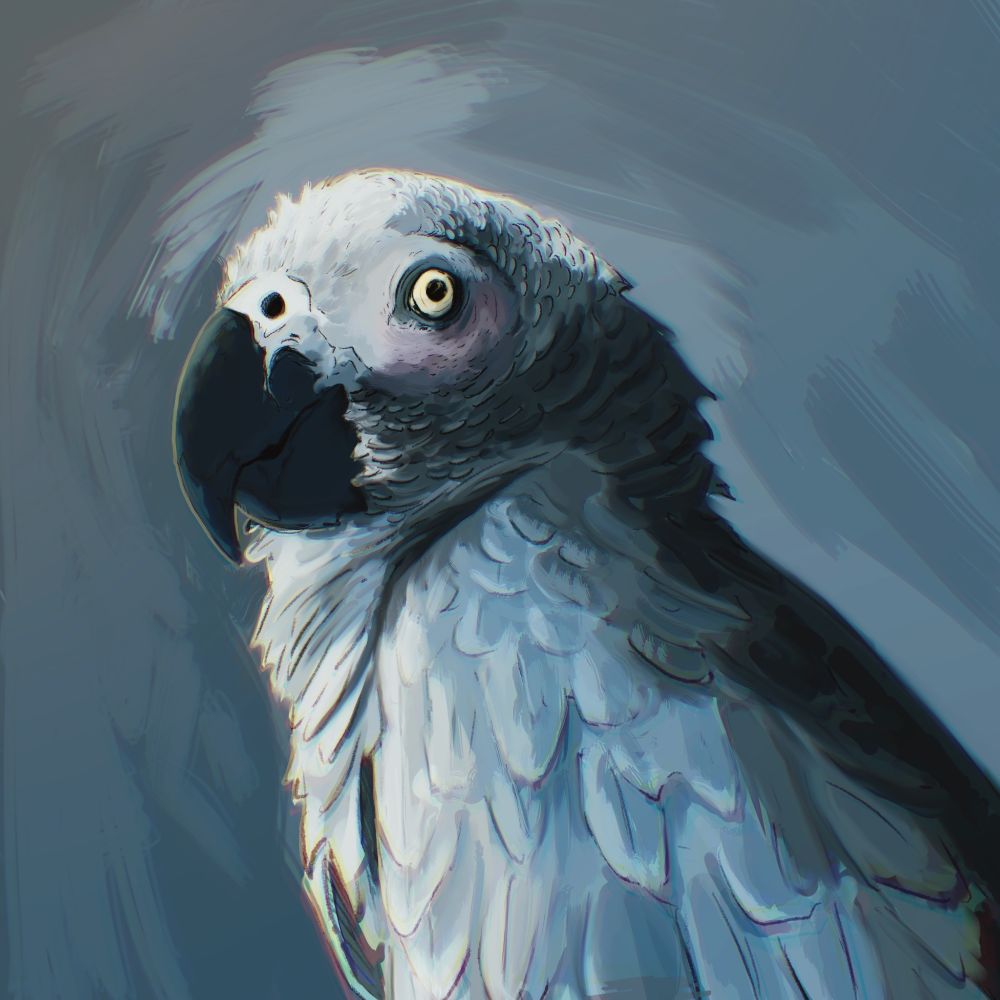 A rough digital painting of Lola, an African grey parrot.