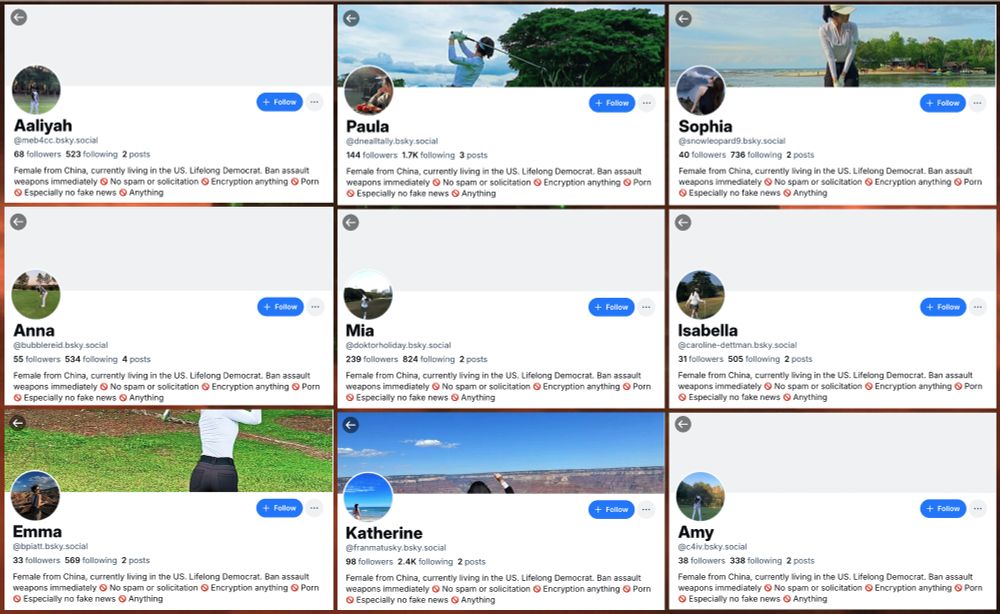 screenshots of 9 Bluesky accounts with the biography "Female from China, currently living in the US. Lifelong Democrat. Ban assault weapons immediately 🚫 No spam or solicitation 🚫 Encryption anything 🚫 Porn 🚫 Especially no fake news 🚫 Anything"