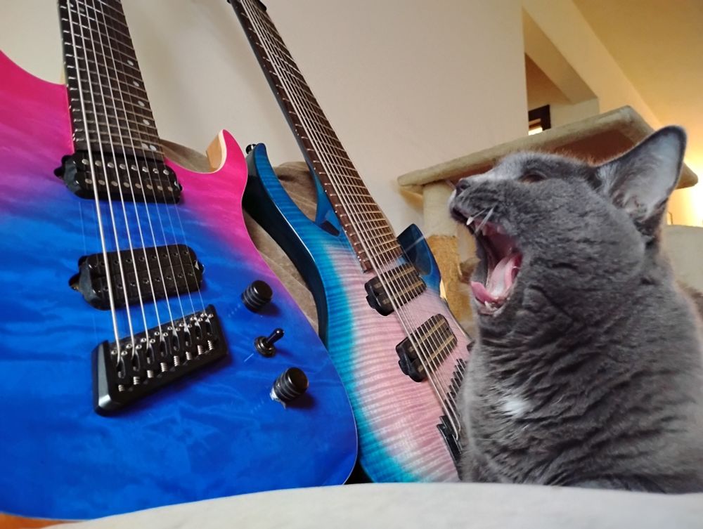 a gray cat sitting on a couch opens her mouth in song; two guitars and a cat tree are visible in the background