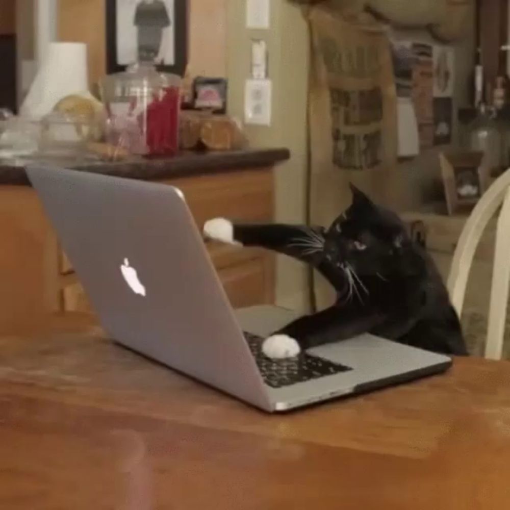 a black and white cat is sitting in front of an apple laptop