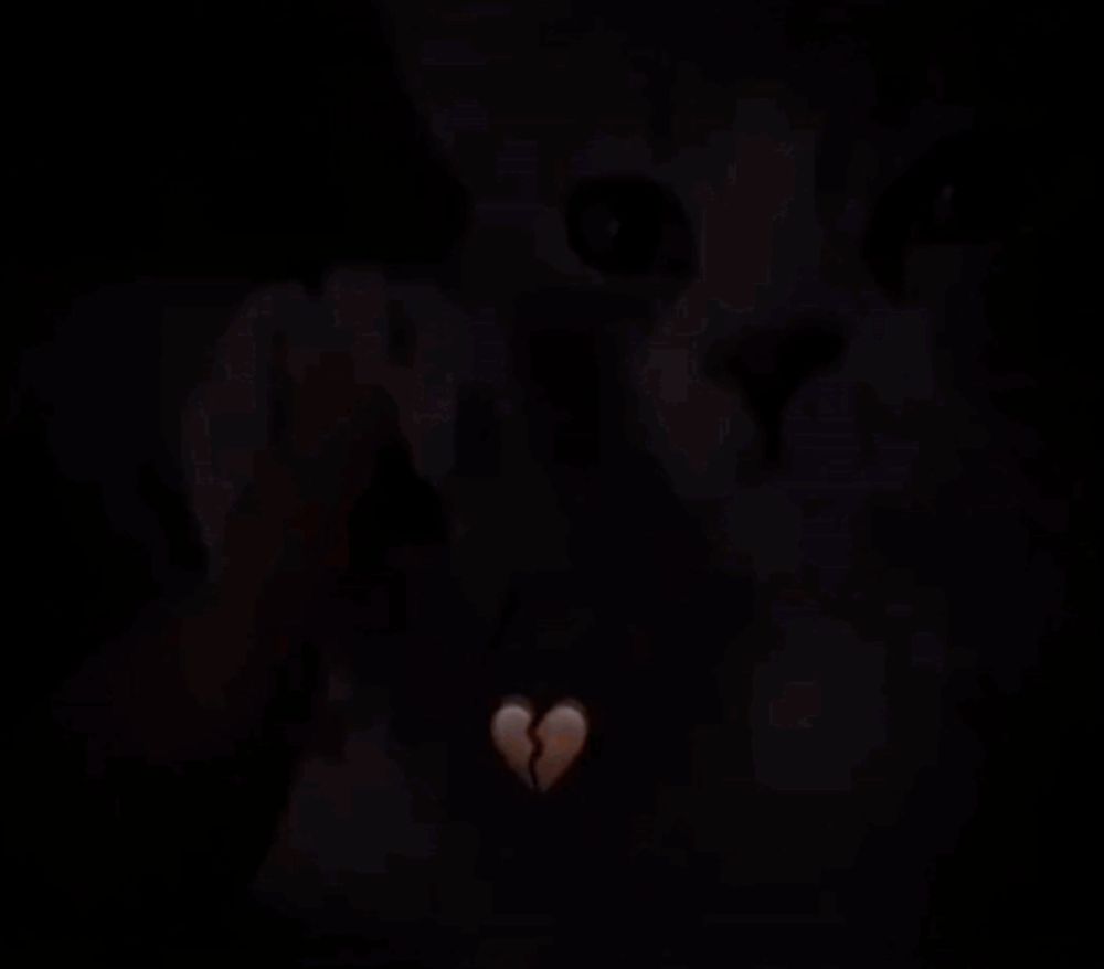 a person is petting a cat 's paw with a broken heart hanging from it