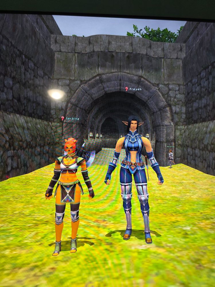 A Mithra and an Elvann standing in front of a town gate 