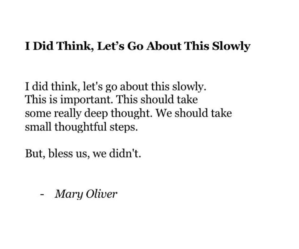 I Did Think, Let's Go About This Slowly

I did think, let's go about this slowly.
This is important. This should take
some really deep thought. We should take small thoughtful steps.

But, bless us, we didn't.

- Mary Oliver