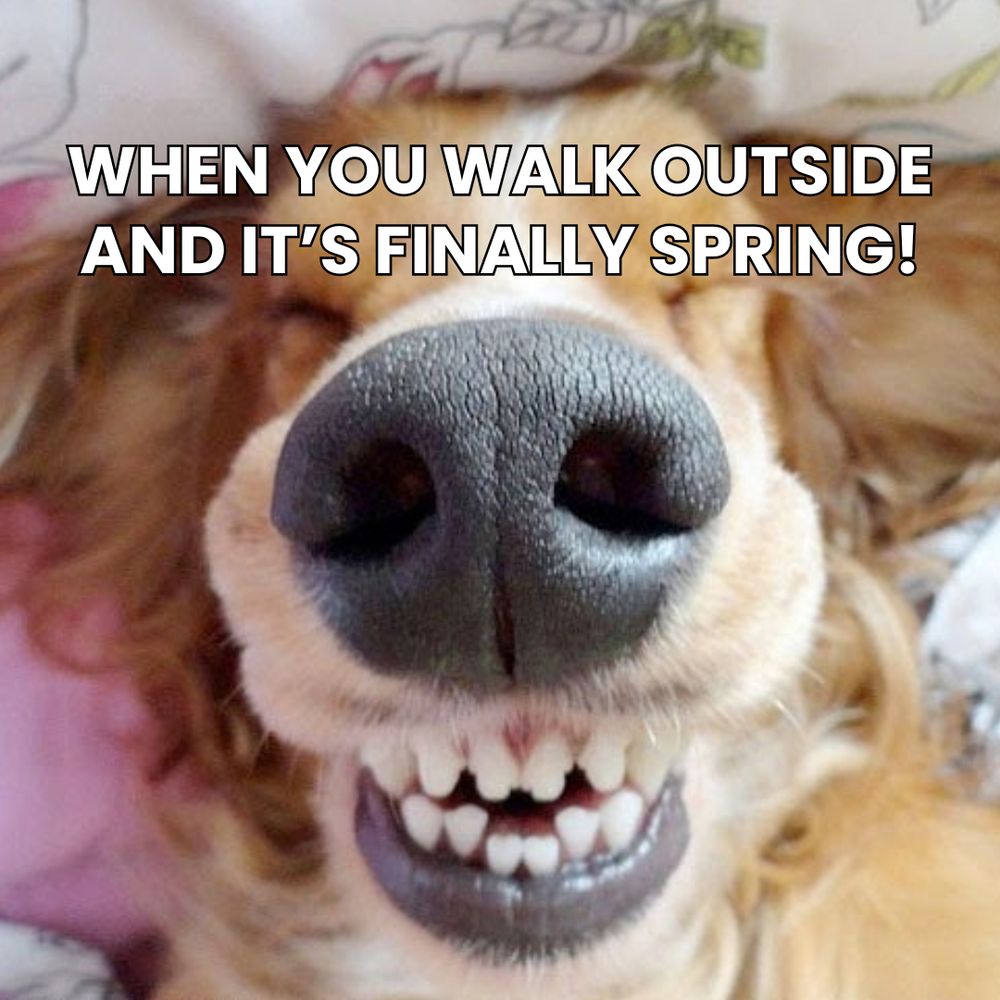(smiling dog) When you walk outside and it's finally spring!