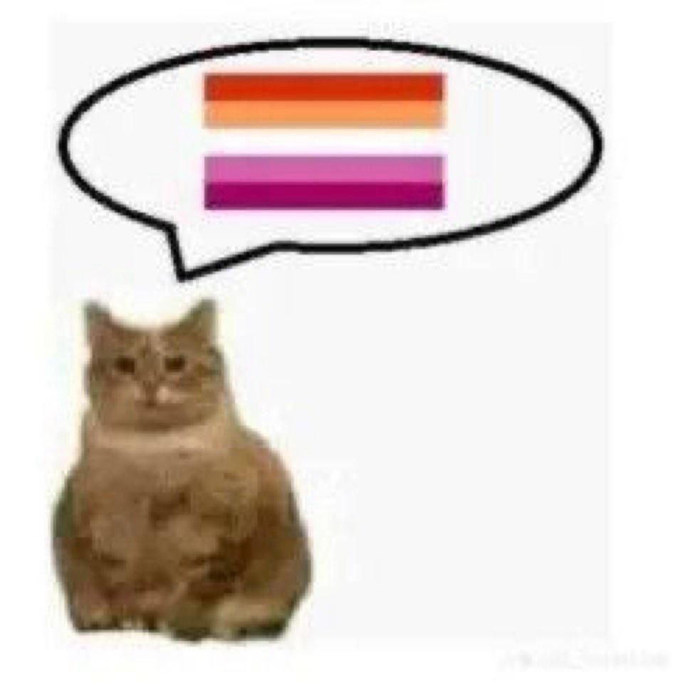 Cat saying lesbian flag in a speech bubble 